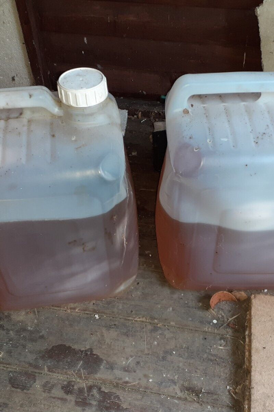 Used Cooking Oil