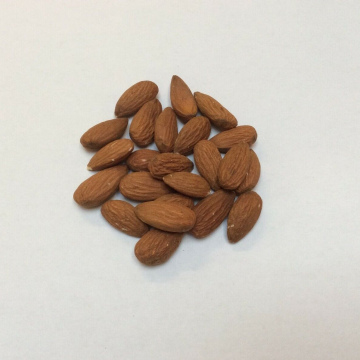 Almond Nuts