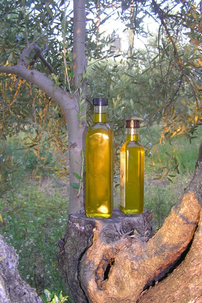 Virgin Olive Oil